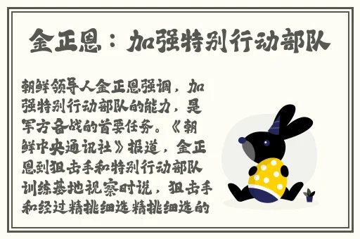 suntek中老年人女妈妈秋装